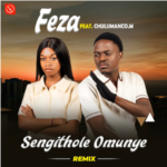 Feza Ft. Chulumanco M – Sengithole Omunye Remix