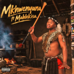 Mkhwenyana SA – Ngizwe Ngawe Ft. Mahlekisa