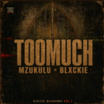 Digital Maskandi & Mzukulu & Blxckie – Too Much