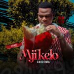 Mjikelo – Ungavumi