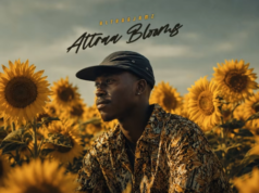 Altraajamz – Lost Puppy