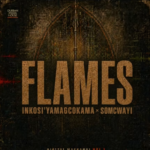 Digital Maskandi, Inkosi Yamagcokama & Somcwayi – Flames