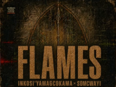 Digital Maskandi, Inkosi Yamagcokama & Somcwayi – Flames
