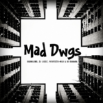 GqoMLorD, DJ Liddz, PERFECTO-MLU & DJ Banana – Mad Dwgs