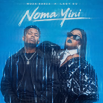 Woza Sabza & Lady Du – Noma Yini